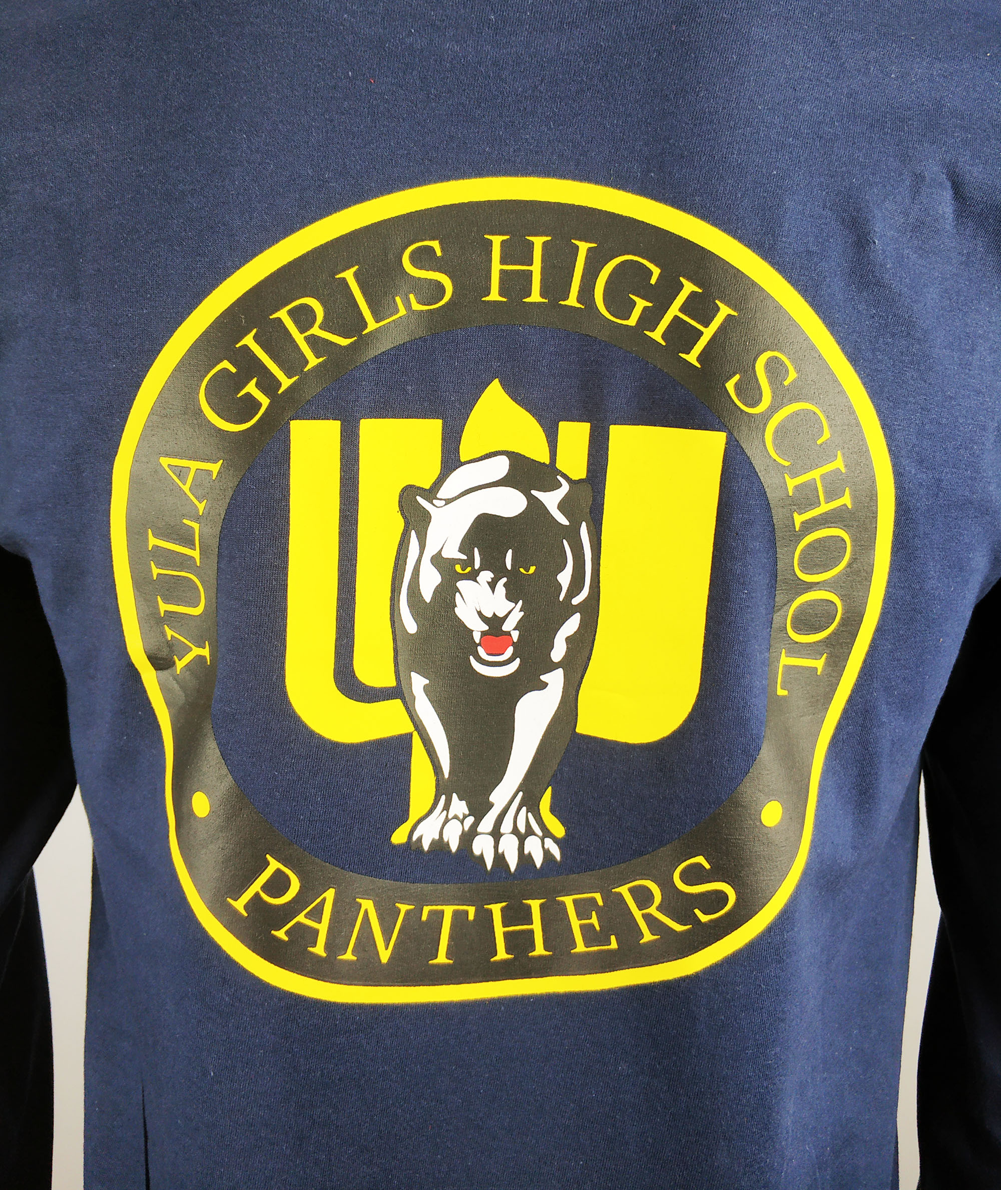Personalized printed t-shirts for school 